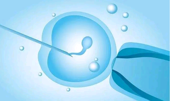 昆明代孕的宝宝能上户口吗？,「试管婴儿生儿子」女性治疗不排卵要多少钱_上