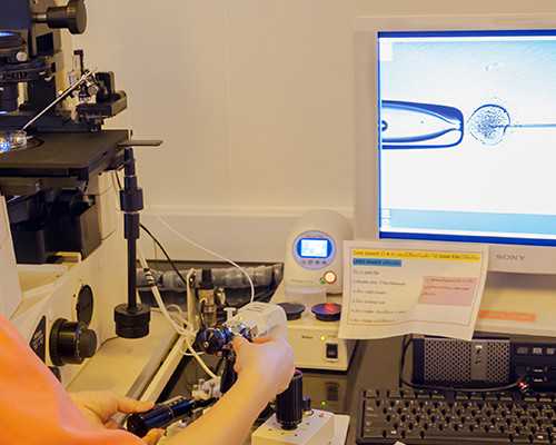 昆明代孕哪里优惠,北京供卵医院博诺（北京哪个公立医院能供卵）_试管婴儿前