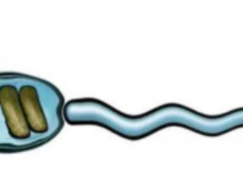 昆明拉拉代孕网,昆明私人医院做试管选男孩要多少钱？附昆明私人医院试管费