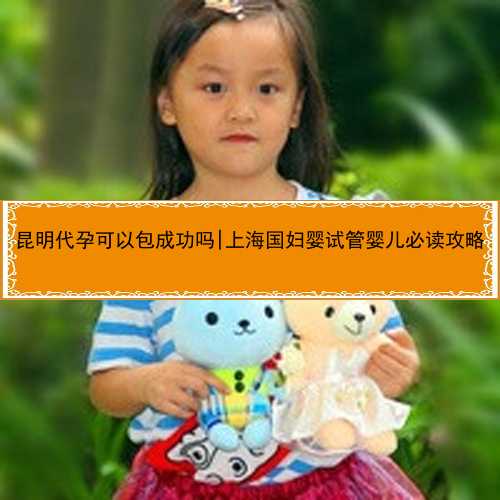 昆明代孕可以包成功吗|上海国妇婴试管婴儿必读攻略